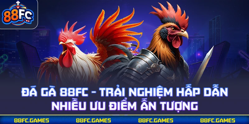 Hướng dẫn giải trí cùng đá gà 88FC chi tiết từng bước