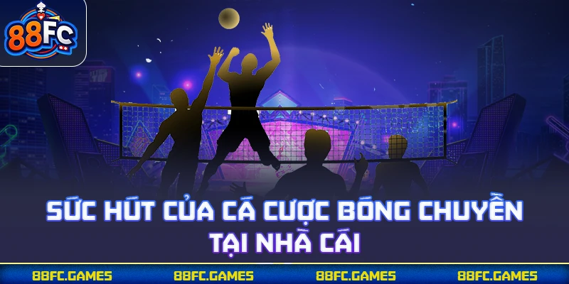 Sức hút của cá cược bóng chuyền tại nhà cái